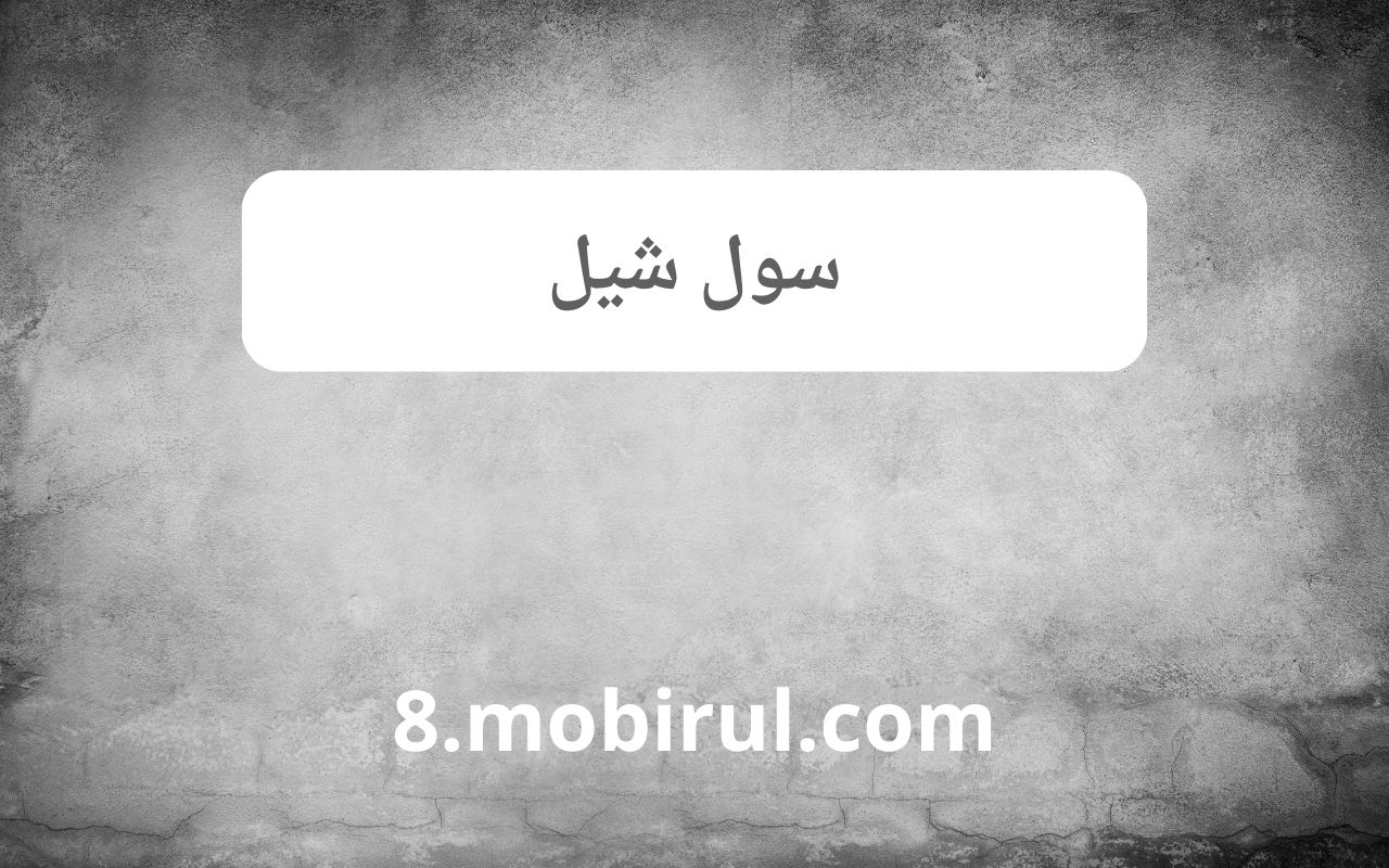 تطبيق التواصل الاجتماعي سول شيل